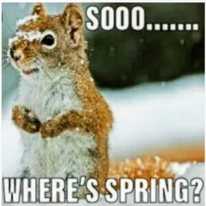 𝐋𝐢𝐛𝐛𝐲'𝐬 𝐏𝐎𝐏_𝐔𝐏